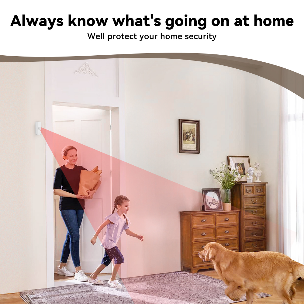 Tuya スマート PIR モーションセンサー スマートホー - Smart Home Retrofit のレビューと価格